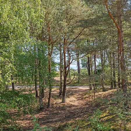 Amazing In With Sauna *